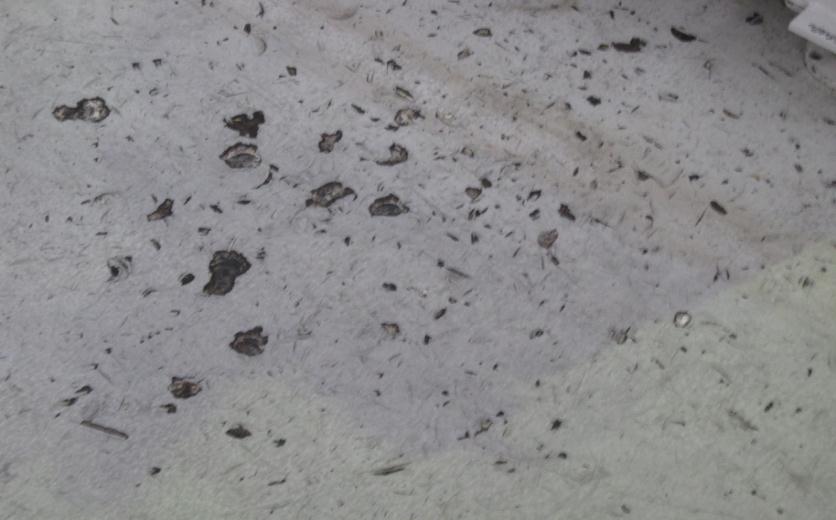 聚氨酯樹脂是什么及其應(yīng)用